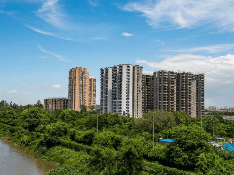 Listing Taxonomy Image