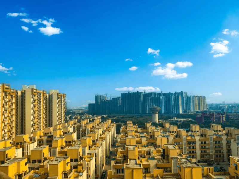 Listing Taxonomy Image